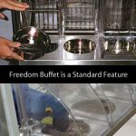 Freedom Buffet is a Standard Feature